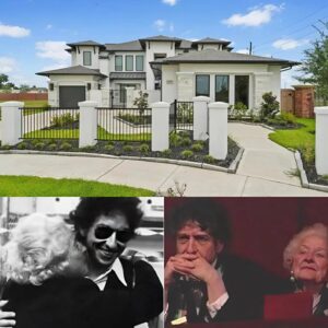 DREAM COME TRUE: BOB DYLAN BUILDS HIS MOTHER’S DREAM HOME 🏡✨ ws