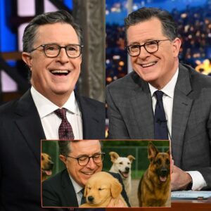 🐾 SH0CKING REVELATION: Stephen Colbert Pledges $20 Million to Create a “Heaven on Earth” for Abandoned Dogs_nh