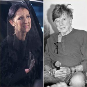 Céline Dion reveals the heartbreaking final messages from Hollywood legend Robert Redford before his passing at 89. - H