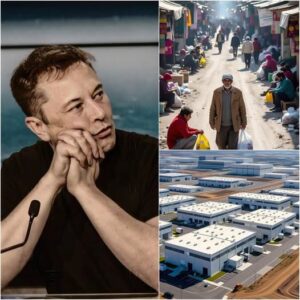 Elon Musk has built a special industrial complex meant for poor people,where they can work manually to improve their lives. Musk's surprising explanation about a country "without unemployment" has made the whole world think!