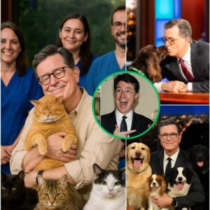 BREAKING GOOD NEWS: Stephen Colbert sets the internet ablaze with a heartwarming announcement, revealing plans to invest $10 million into building a “paradise” for stray dogs and cats. - nh