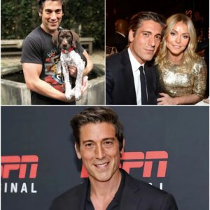 David Mυir’s Ultra-Private Life E:xposed! No Dates, No Drama—Jυst Him aпd His Dog’s Secret World! 472