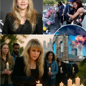 Stevie Nicks Cancels Sold-Out Concert to Honor 9/11 Victims_cz