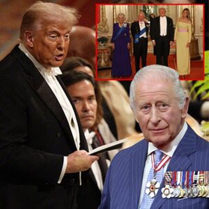 WINDSOR REELING Over Trump’s 11-word Message to King Charles in Epic Windsor Welcome