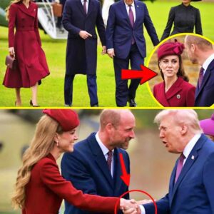 MINUTES AGO: Princess Catherine APPEARED STUNNING with Prince William At The Welcoming State Ceremony For US President and First Lady - NGL