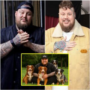 SHOCKING REVELATION: Country rap star Jelly Roll just pledged $20 MILLION to build a “heaven on earth” for abandoned dogs