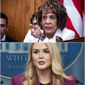 Maxine Waters said: “After Karen, Orange Man should focus on education to raise people’s knowledge, that’s how America is going to be great again, not sitting there booing at the US Open final.”