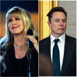BREAKING: Stevie Nicks Rejects $500 Million Endorsement Deal from Elon Musk — A Stand for Integrity and the People_cz