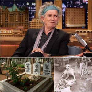 HEART-STIRRING NEWS: Keith Richards and Patti Hansen’s Unbelievable Act of Compassion That Left the World in Tears_cz
