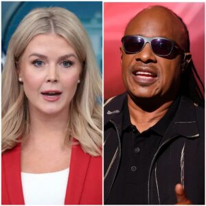 “YOU WERE BEATEN — PAY NOW!” — Stevie Wonder Sues Karoline Leavitt and Network for $50 MILLION After Shocking Live Attack nn