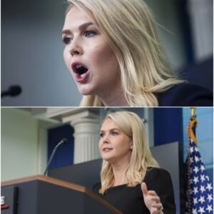 🔥 Chaos at Press Briefing: Karoline Leavitt Loses Temper on Live Camera
