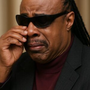 Stevie Wonder Reveals the Heartbreaking Reason He Couldn’t Perform “You Are the Sunshine of My Life” After His Breakup nn