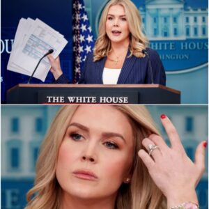 “The Mystery Behind Karoline Leavitt’s Remark: Washington in Turmoil as Analysts Warn of a Political Storm”