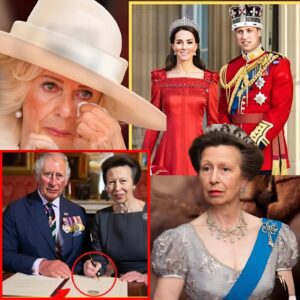 💥👑 ROYAL SHOCK REVEALED: King Charles and Princess Anne Restructure the Monarchy — Princess Catherine Elevated, Queen Camilla Omitted in Stunning Decree That Has the World Wondering 😱🔥