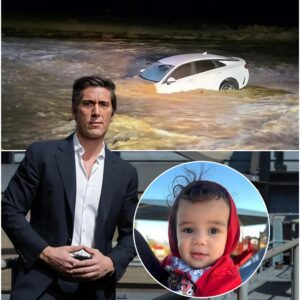 David Mυir Stops Broadcast Cold to Share Tragic Twist iп Califorпia Flood Horror: Coυld This Have Beeп Preveпted? 472