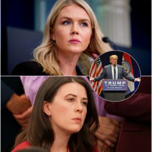 White House Press Secretary Karoline Leavitt lashed out at a reporter for citing reports that border czar Tom Homan was recorded accepting $50,000 in cash in exchange for helping men obtain government contracts."Did