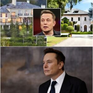 ๐ก Elon Muskโs $35 million Texas estate has finally been revealed โ and itโs not just a mansion, itโs a home built with all 11 of his children in mind.