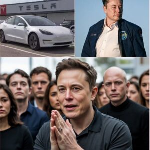 Elon Musk Leaves SpaceX in Shock and Fans in Emergency Prayer Circles—The Unimaginable Has Been Announced. ws