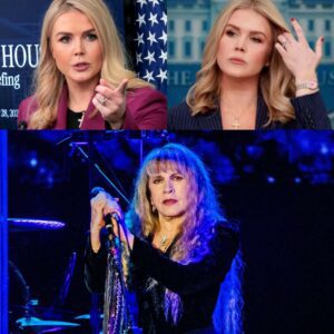 Stevie Nicks Delivers a Twelve-Word Comeback That Silenced Karoline Leavitt_cz