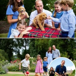 Princess Kate Middleton Reveals Adorable New Family Members on Prince William's Birthday! Just when we thought the royal family couldn’t get any more charming, Kate Middleton surprised us ...