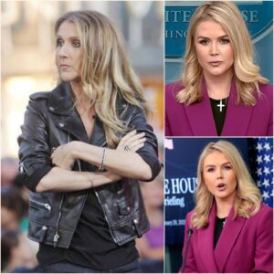 Céline Dion’s Twelve Words That Shook American Media - H