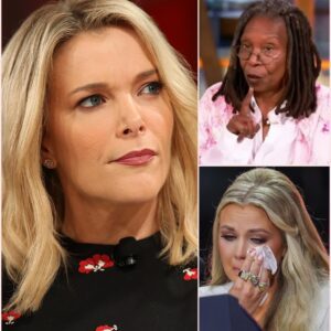 “Sit Down, Barbie.” — Whoopi Goldberg Explodes on Live TV, But David Muir and Tom Brady Flip the Script in Shocking On-Air Showdown...baiflopthitaonghiviec