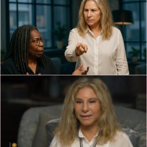 BARBRA STREISAND ERUPTS ON THE VIEW: DAYTIME TELEVISION MELTDOWN STUNS AMERICA. ws
