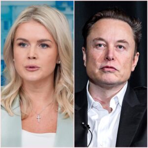 ELON MUSK SUES KAROLINE LEAVITT AND NETWORK FOR $50 MILLION AFTER SHOCKING LIVE ATTACK
