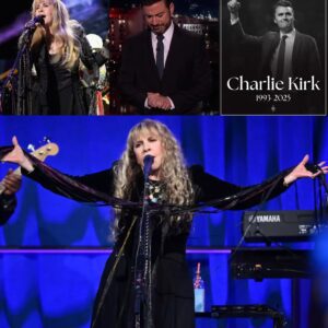 Stevie Nicks Raises Her Voice: A Rock Icon’s Warning to America_cz