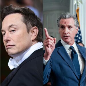 The second Gavin Newsom leaned into the microphone and thundered, “THERE WOULD BE NO ELON MUSK WITHOUT ME!” the press room froze. Stunned reporters exchanged looks. The California Governor wasn’t just touting policy anymore