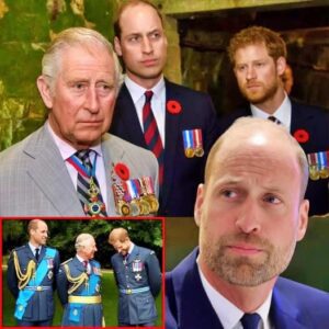 “King Charles ‘Less Irritated With Harry Than William’ – Shocking New Royal Relationship Revealed”.
