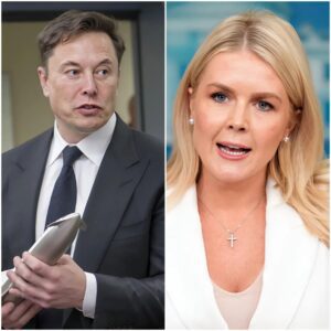 “Sit down, Barbie.” — Elon Musk stunned the studio when he fired back at Karoline Leavitt after she hurled racist insults and called him a “CHEATING BILLIONAIRE.” With just 12 razor-sharp words, Musk silenced her completely. Leavitt tried to snap back, but the tech icon delivered a brutal truth that left the audience on their feet, applauding wildly. The moment went viral instantly — proof Musk never backs down when faced with ignorance.