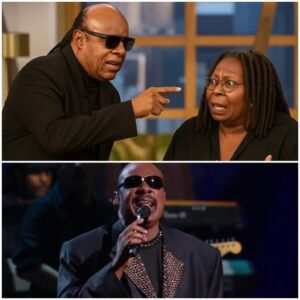 BREAKING: Stevie Wonder Shatters Daytime TV with Explosive Exit from The View nn