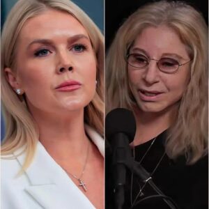 "YOU WERE BEATEN — PAY NOW!" — Barbra Streisand sues Karoline Leavitt and Network for $50 MILLION after shocking live attack. No one saw it coming. nn