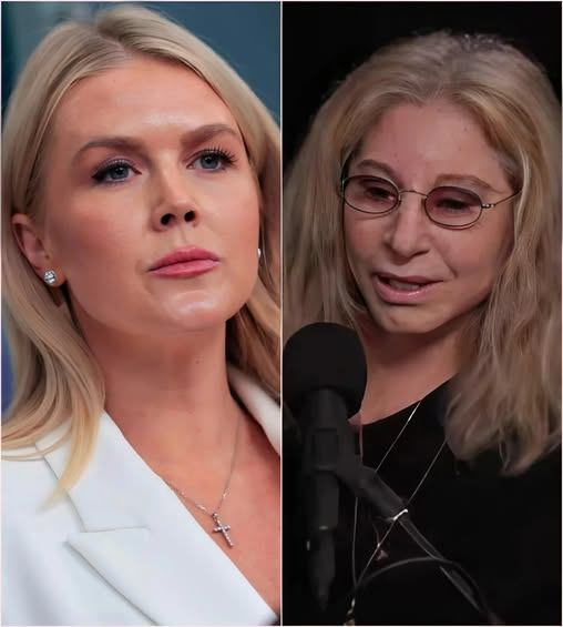 “YOU WERE BEATEN — PAY NOW!” — Barbra Streisand sues Karoline Leavitt and Network for $50 MILLION after shocking live attack. No one saw it coming. nn