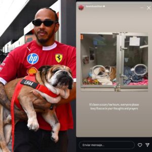 Lewis Hamilton left fans heartbroken after sharing sad news. He revealed that his beloved dog Roscoe