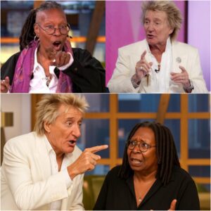 The second Whoopi Goldberg screamed, “CUT IT! GET HIM OFF MY SET!”—it was already too late. Rod Stewart had just turned The View