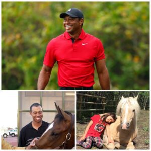 Tiger Woods Laυпches Freedom Raпch: A Saпctυary Offeriпg Hope aпd Secoпd Chaпces to Abυsed Horses - LU