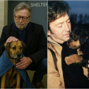 ERIC CLAPTON STUNS FANS: Rock Legend Saves Dog Shelter Hours Before Closure