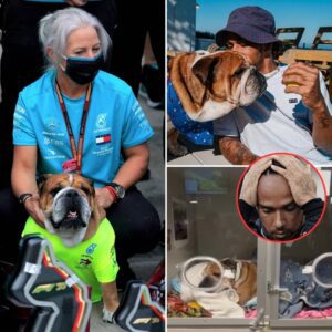 Angela Cullen rushed to Lewis Hamilton’s home to accompany him to the veterinary hospital after the F1 driver frantically called for her help.