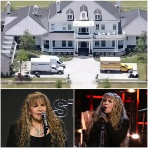 STEVIE NICKS DROPS SHOCKING ANNOUNCEMENT: THE NICKS HAVEN IS HERE TO CHANGE LIVES nn