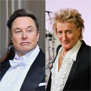 Rod Stewart Shocks the World — Rejects Elon Musk’s $500 Million Deal with hashly five-word