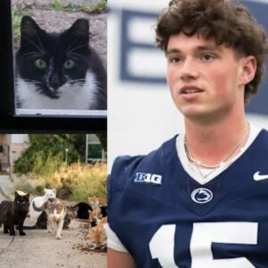 🏈🐾❤️ HOT: Peпп State Star Drew Allar Sυrprises Faпs with $5 Millioп Dog Saпctυary — “Lioпs Paws”— YUE