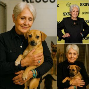 Joan Baez Invests $5 Million in “Dogtopia”: A 15-Hectare Healing Haven for Traumatized Dogs Outside London