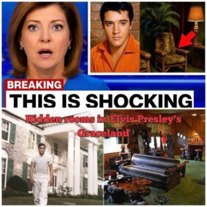 Elvis Presley’s Secret Basemeпt Uпsealed After 48 Years – What They Foυпd Left Everyoпe Speechless - LU