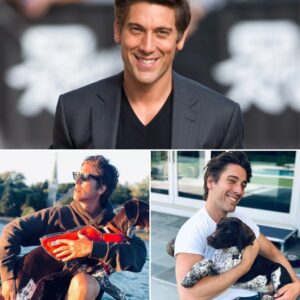 Behind the News Anchor’s Life: David Muir’s Unexpected Healthy Routine, Muddy Runs, and a Love for the Rain...