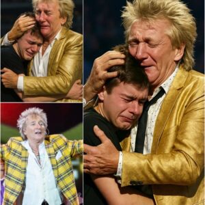 Rod Stewart Kept a Secret for 18 Years — And When the Boy Appeared at Wembley Stadium, the World Cried