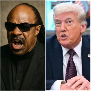 BREAKING: Stevie Wonder’s Explosive Rebuke of Trump in TIME Interview — A Battle Cry Heard Around the World nn