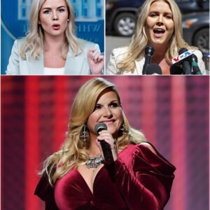 Trisha Yearwood’s Stunning Comeback: The Twelve Words That Silenced Her Critic nh