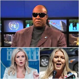 “I LOST A STAGE, BUT YOU NEVER HAD A SPOTLIGHT TO LOSE” — Stevie Wonder Delivers Unforgettable Clapback Against Karoline Leavitt nn